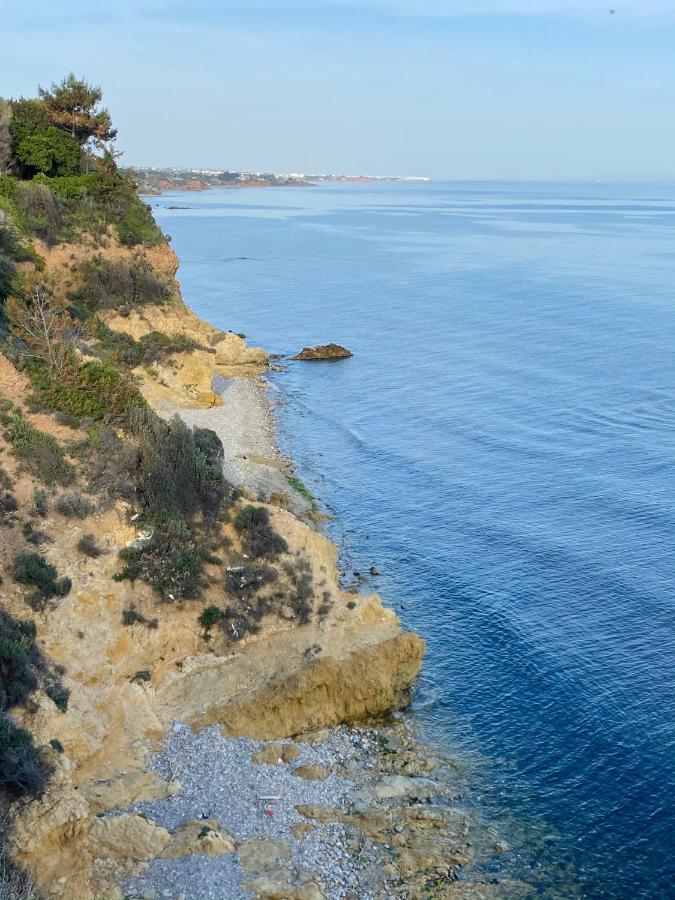 Villa Palma Alexandroupoli Bagian luar foto